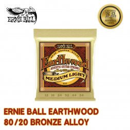 어니볼 EarthWood Medium Light 2003