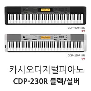 카시오 CDP - 230R